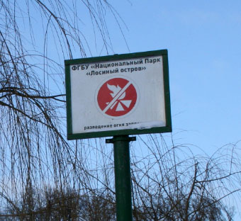 костер.jpg