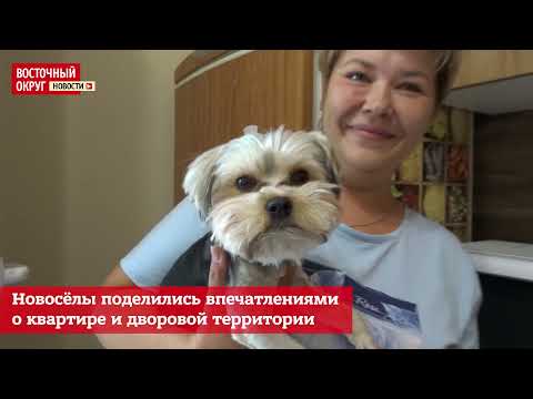 Реновация в Измайлове: как устроились жители на новом месте
